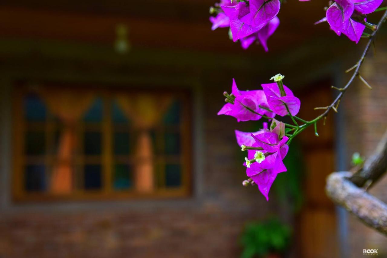 Hotel Las Azaleas Jardín América Esterno foto